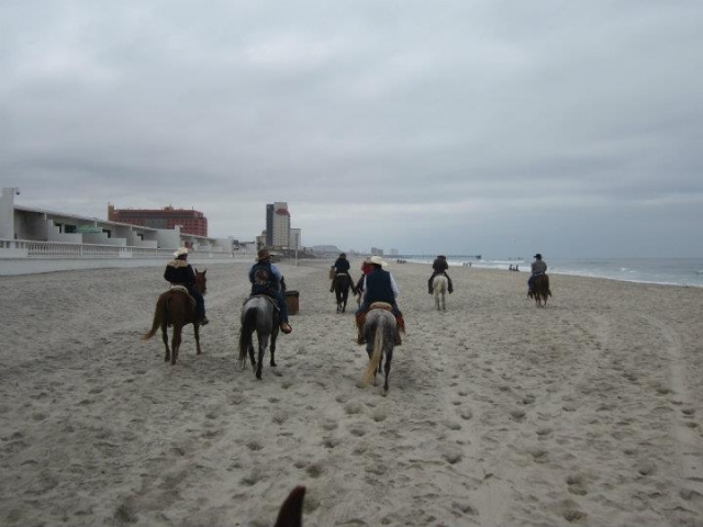  Equitation sur la plage 